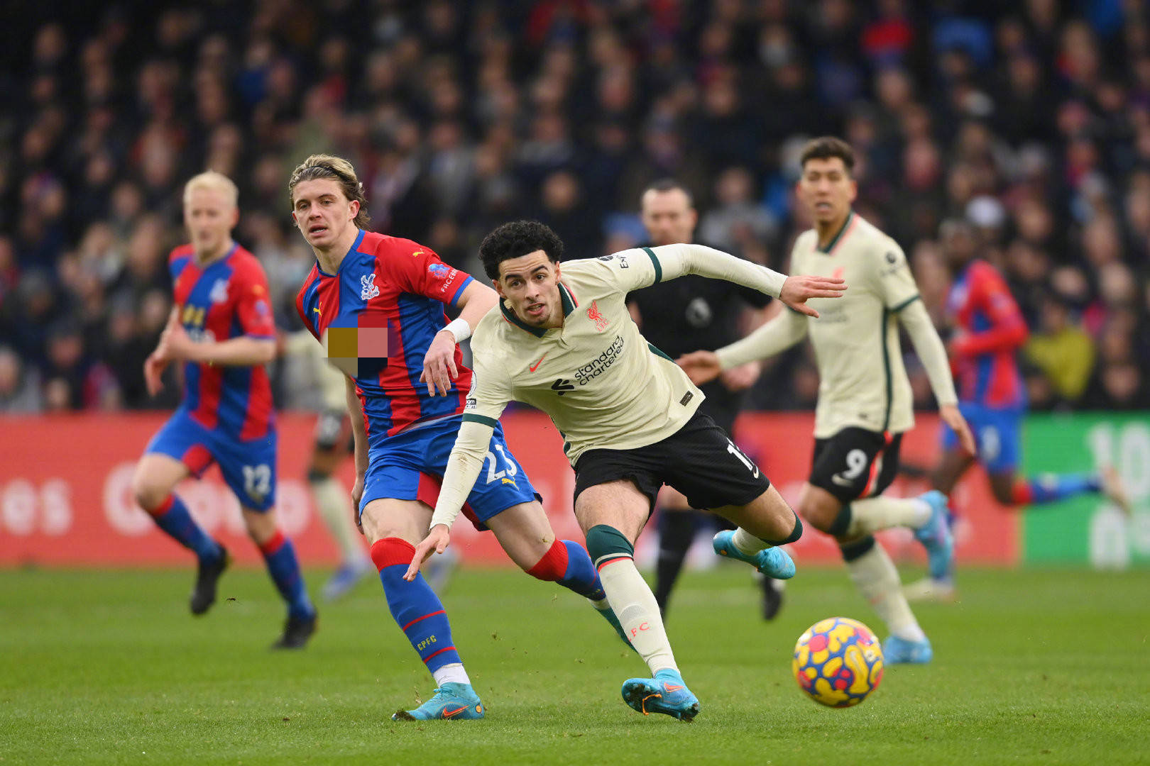 法律声明无 法律声明无